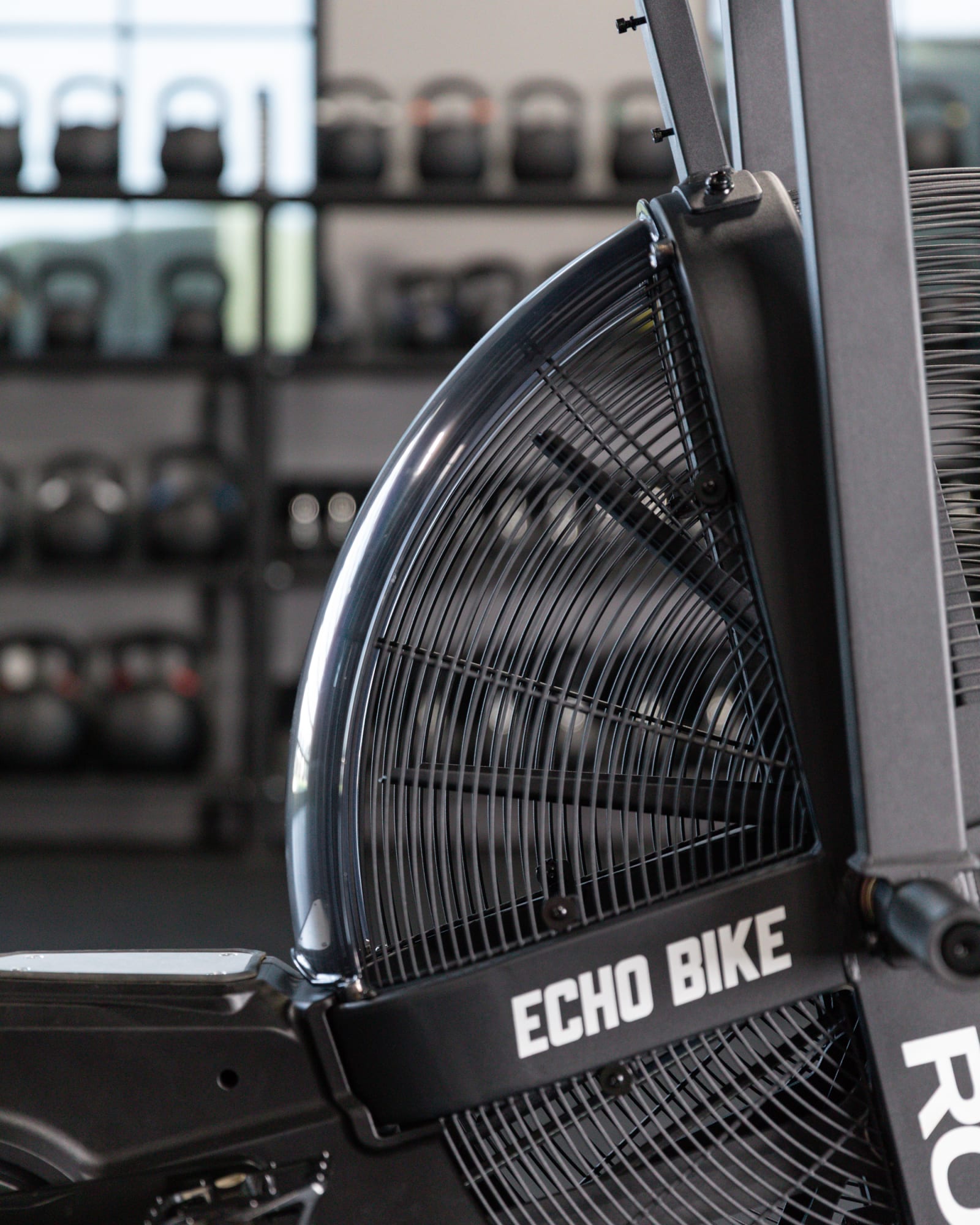 Rogue ECHO Bike Wind Guard - 75 Degrees - V3 | Rogue Fitness